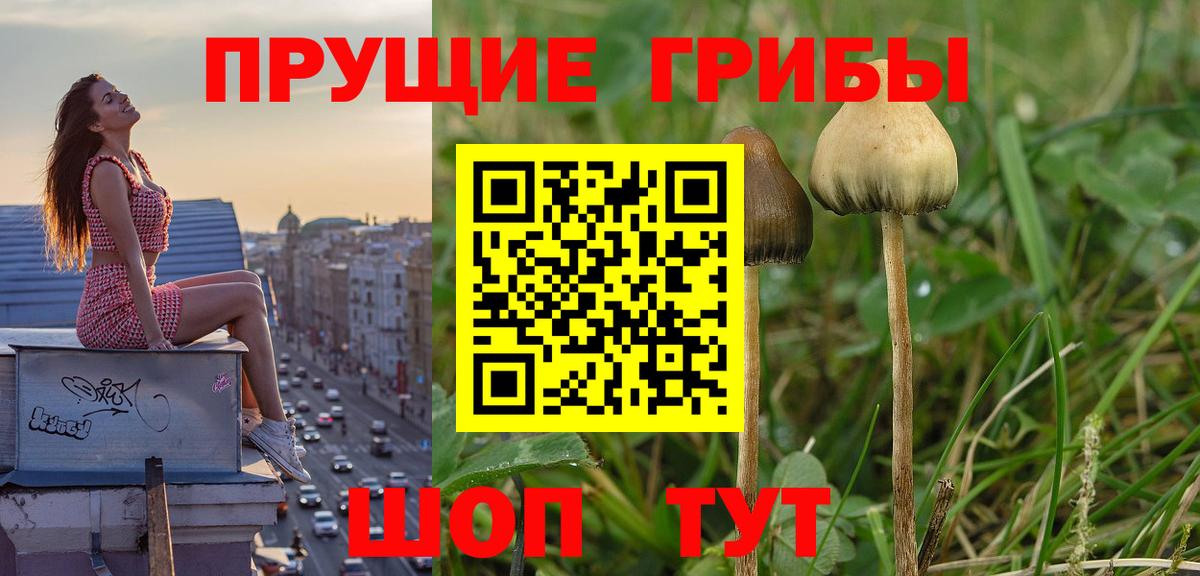 Галлюциногенные грибы Magic Shrooms Улан-Удэ